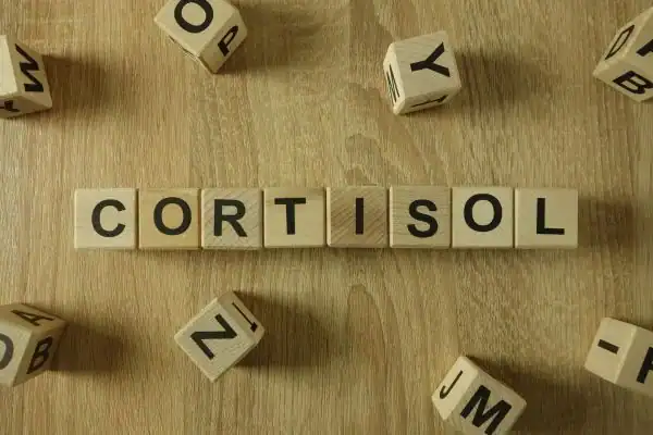 The Hidden Connection: How Stress Shapes Your Fitness and Body Composition 2 Image saying "Cortisol" and how stress Leicestershire impacts your wellbeing and bodies shape